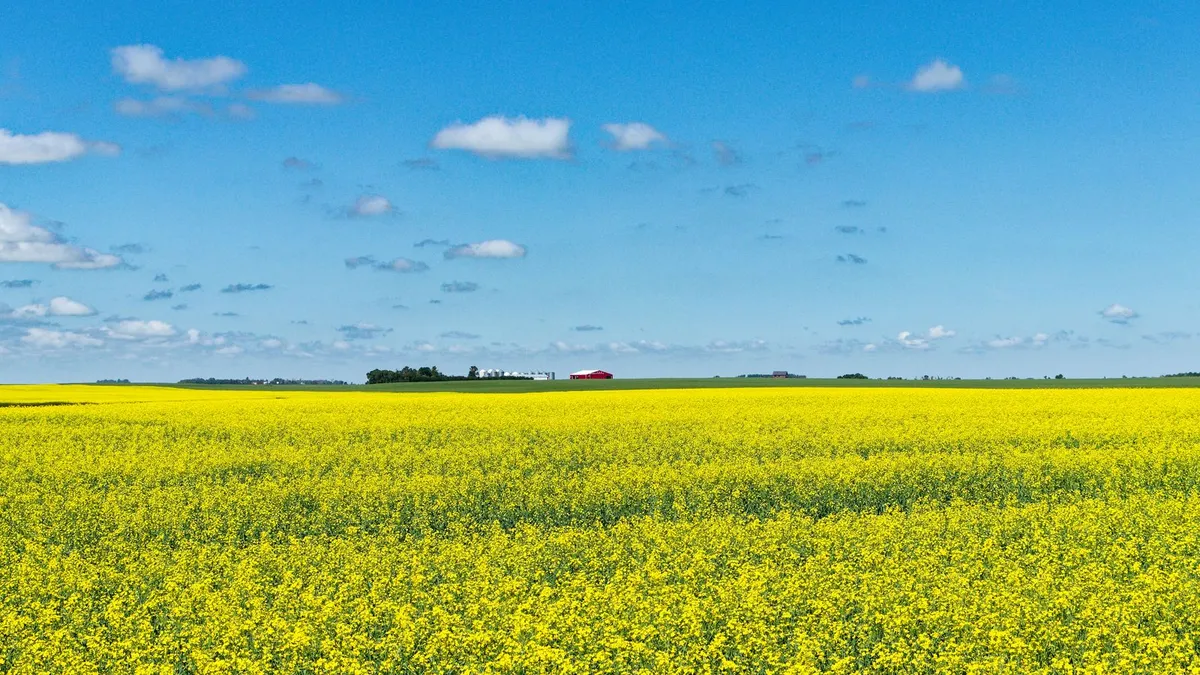 Loans Osler and Hague, Saskatoon